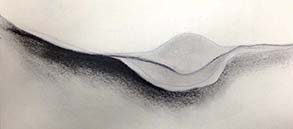 study of sea shell, drawing, charcoal and paper.